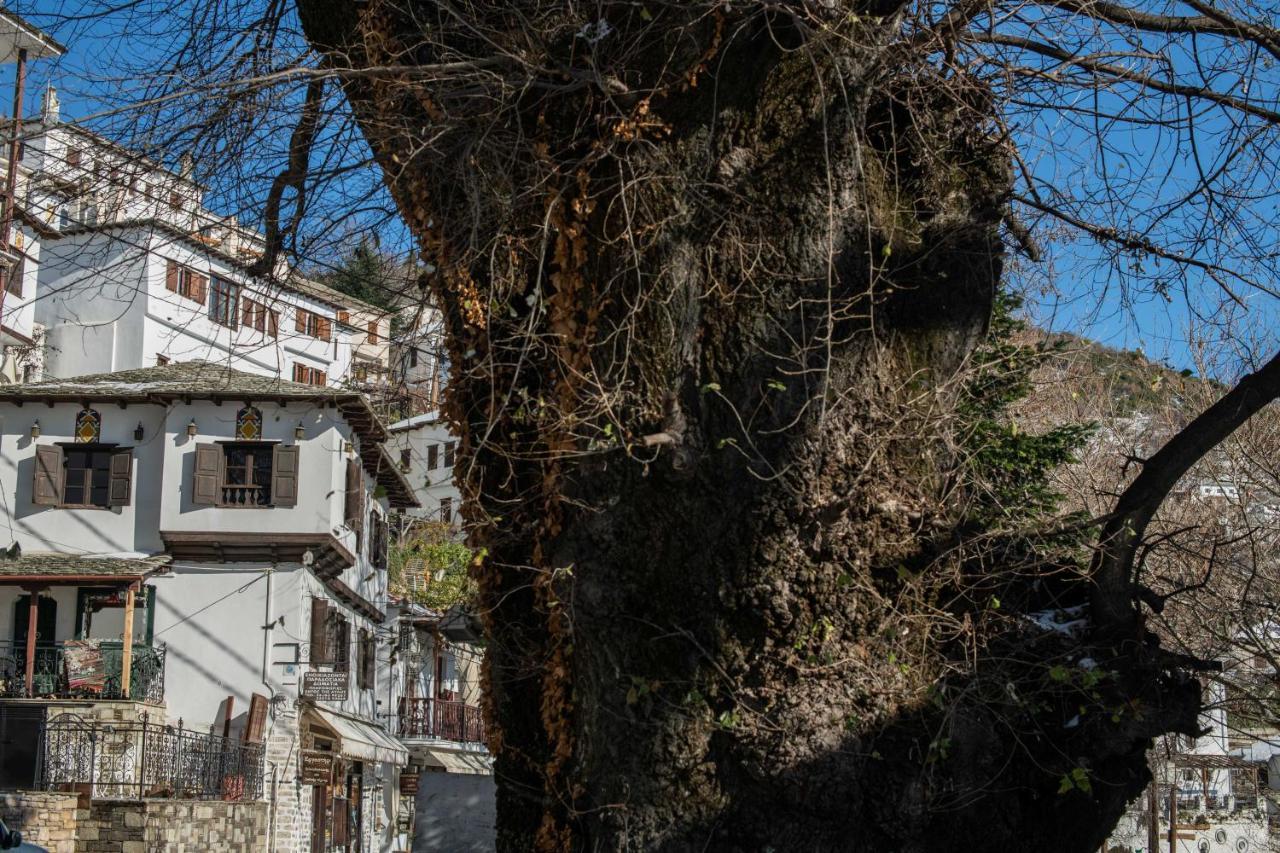 Philos Guesthouse Makrinítsa المظهر الخارجي الصورة